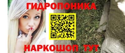 марки lsd Лесосибирск