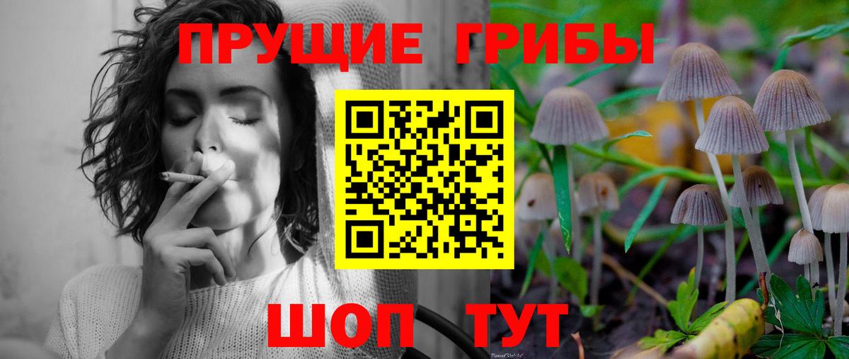 Улан-Удэ  Галлюциногенные грибы мицелий  Вход с VPN 